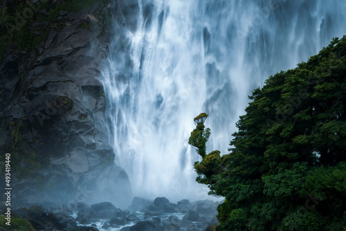 Lady Bowen Falls in Milford Sound with Southern Rata forest in foreground  South Island.