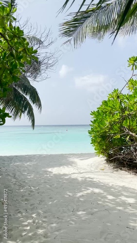 Vertical version with white sand and green water. Maldives. For smart phones