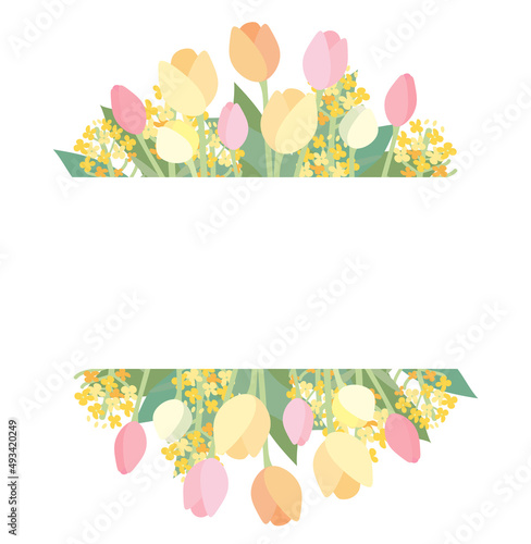 チューリップと菜の花の背景イラスト2