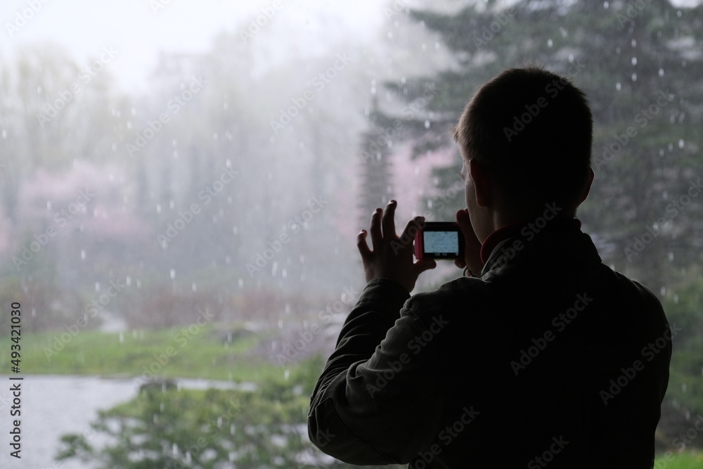 Photographer in the Japanese garden. Photographing rain. Photographer. Japan. Cherry blossoms. Photographer in the Japanese garden. Photographing rain. Photographer. Japan. Cherry blossoms.