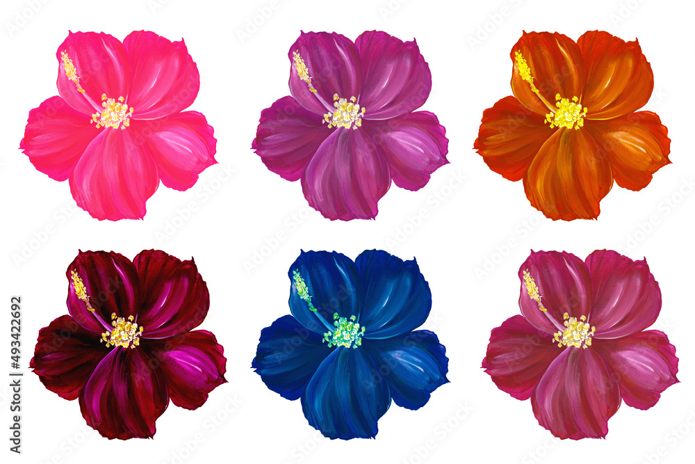 Set of hibiscus flowers, different colors. isolated on white background. Chinese rose. Exotic tropical floral elements for your poster, postcard. Realistic watercolor illustration. Set of hibiscus flowers, different colors. isolated on white background. Chinese rose. Exotic tropical floral elements for your poster, postcard. Realistic watercolor illustration.