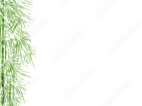 竹と笹のフレーム、背景
