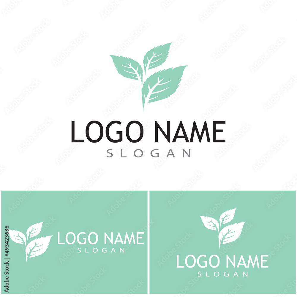 Mint leaves flat vector color icon template illustration design