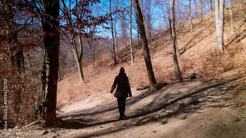 Handheld shot following a woman walking along the forest path Handheld shot following a woman walking along the forest path