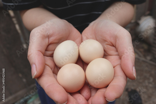 A woman is holding some eggs in hand