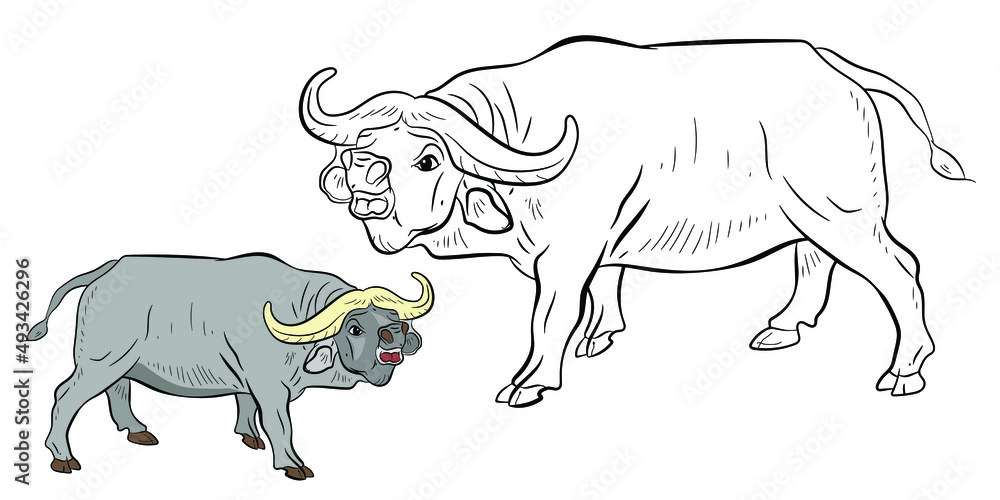Fototapeta premium Large wild animal buffalo, black and white image. Coloring book for kids. Vector drawing.