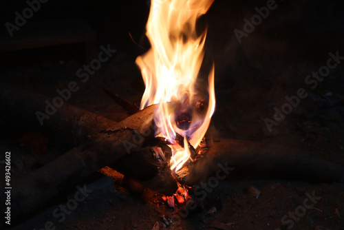 Burning firewood at night for giving light and warm at fire camp.