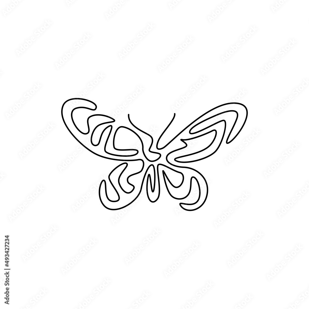 butterfly on white background butterfly on white background