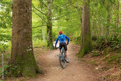 MTB cyclist in the beech forest 