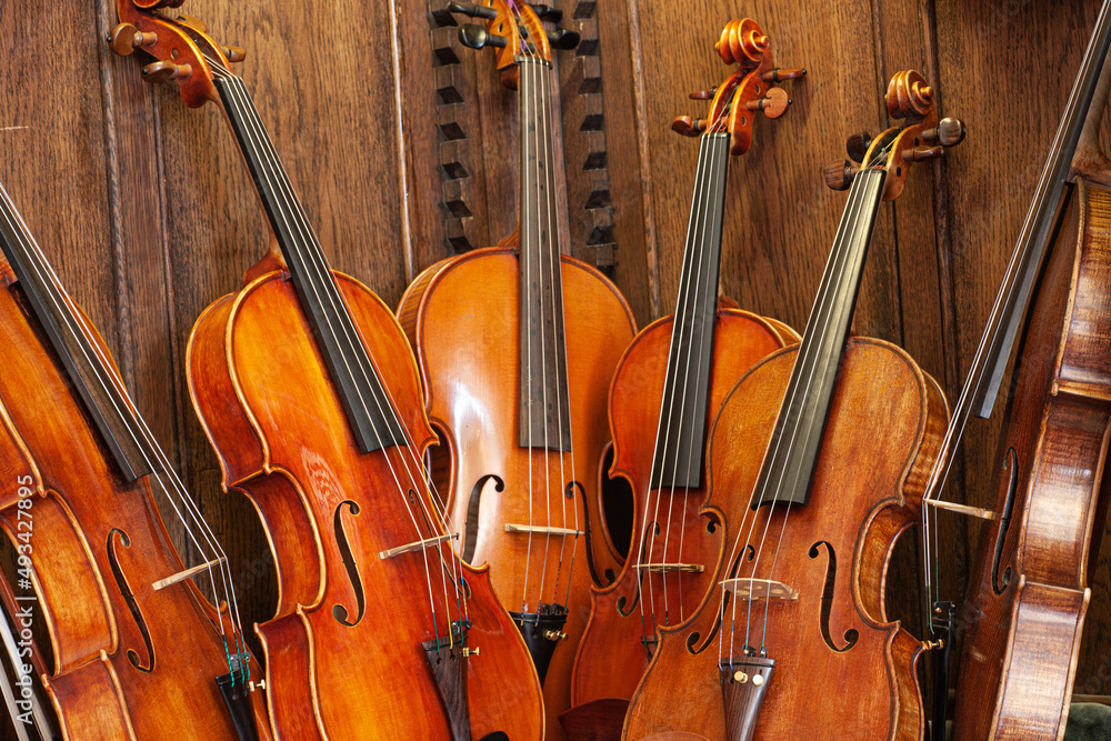 Naklejka premium mehrere Geigen lehnen an Holzwand 