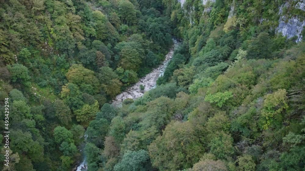 Mountain river at the bottom of the canyon surrounded by forest. Slow motion, panning shot. Mountain river at the bottom of the canyon surrounded by forest. Slow motion, panning shot.