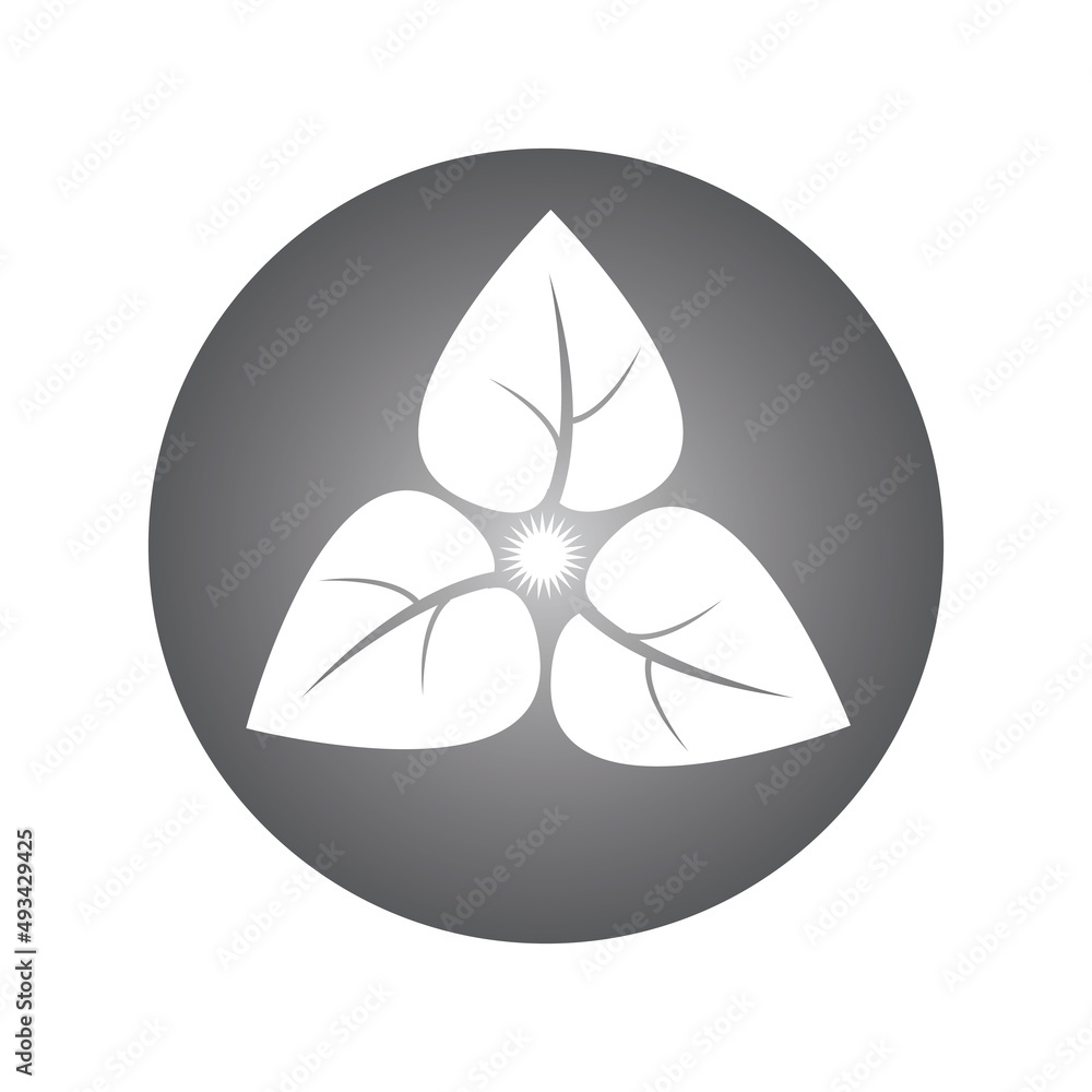 leaf logo vector template icon and design