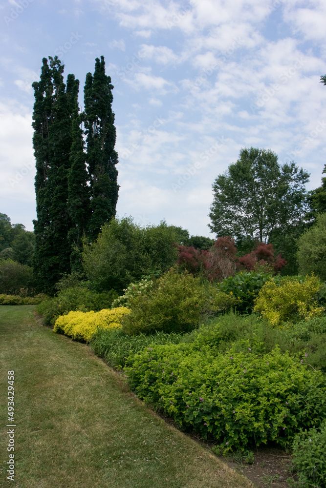 Obraz premium path in the garden