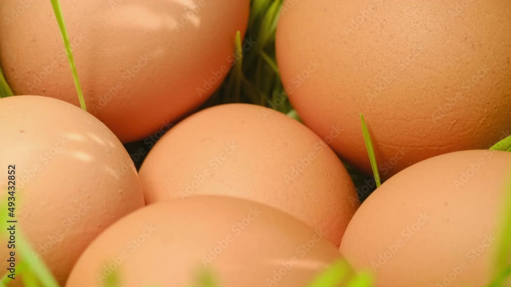 Chicken egg, rotation shot, Chicken fresh raw eggs.Healthy fresh food ingredients for breakfast. Animal products. Grocery. Chicken farm fresh eggs Chicken egg, rotation shot, Chicken fresh raw eggs.Healthy fresh food ingredients for breakfast. Animal products. Grocery. Chicken farm fresh eggs