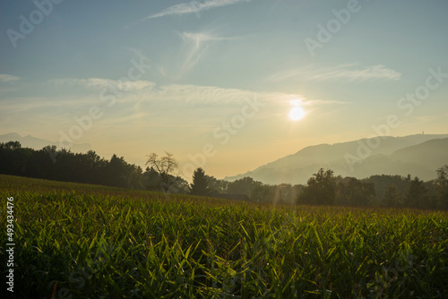 coucher de soleil sur les champs