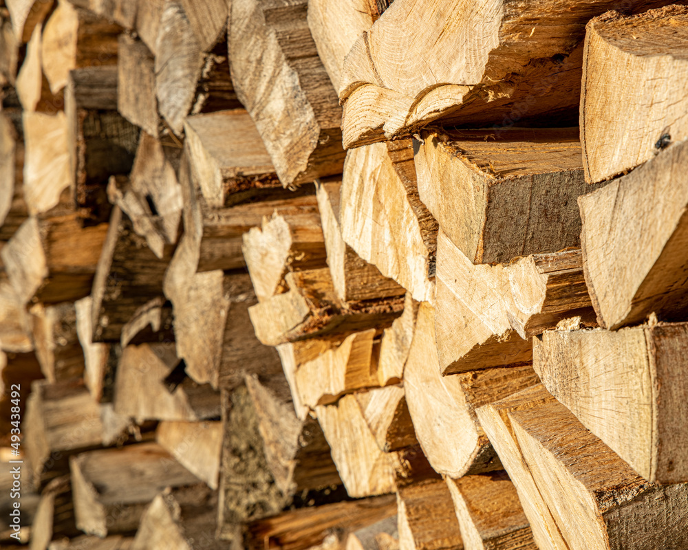 beech firewood on a big pile full background beech firewood on a big pile full background