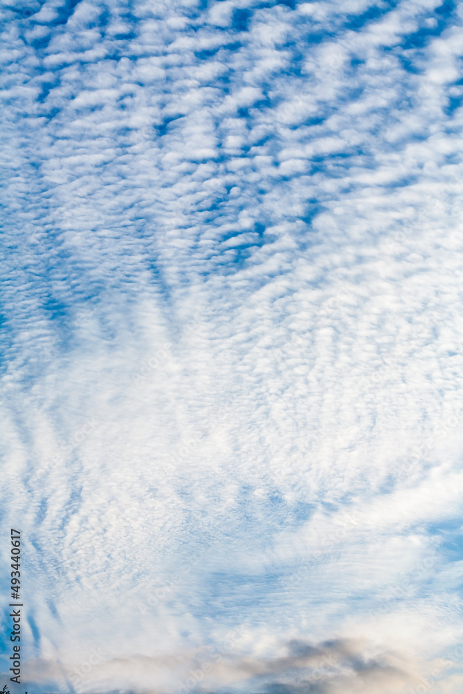 Obraz premium Dramatic white mackerel cloud formations
