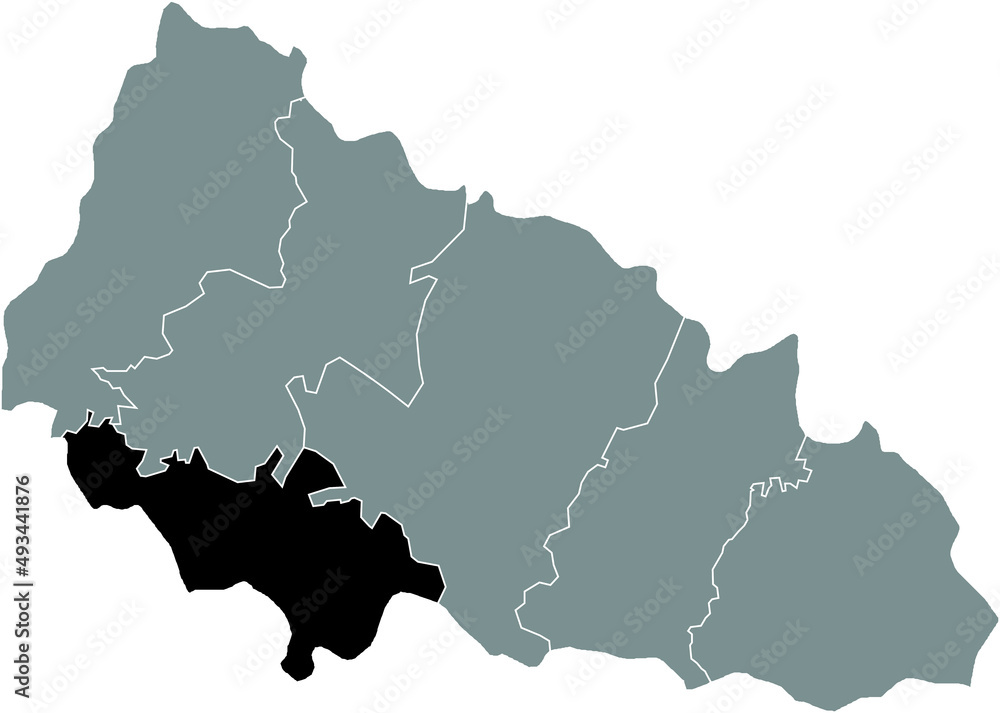 Black flat blank highlighted location map of the BEREHOVE RAION inside gray raions map of the Ukrainian administrative area of Zakarpattia Oblast, Ukraine