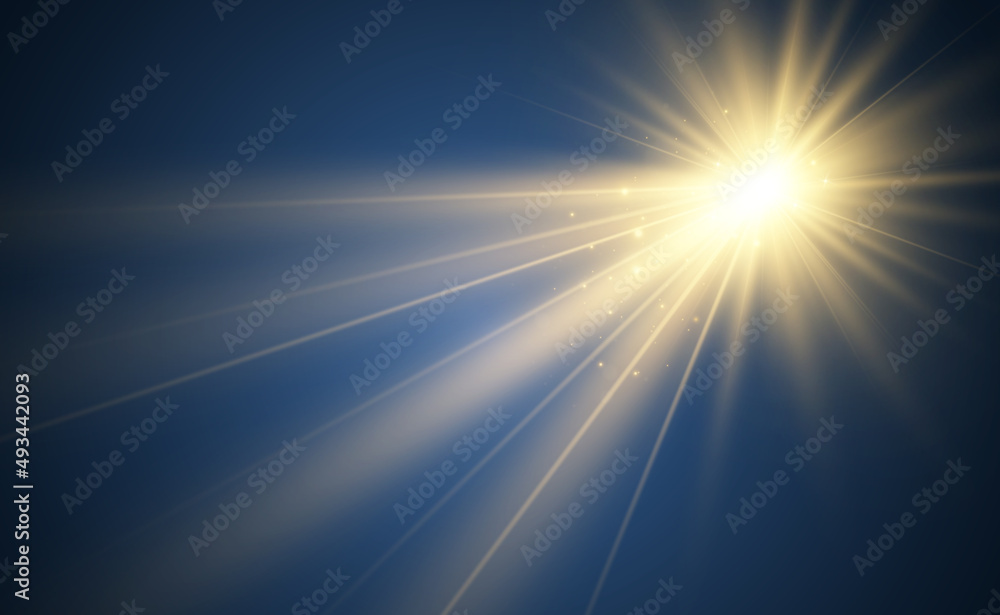 Bright beautiful star.Vector illustration of a light effect on a transparent background.
