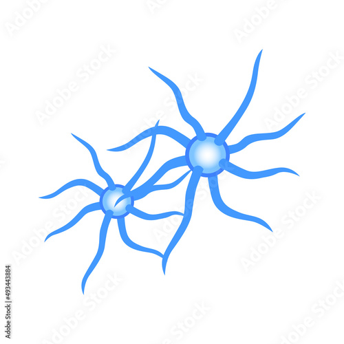 Isometric Neurons Pair Composition