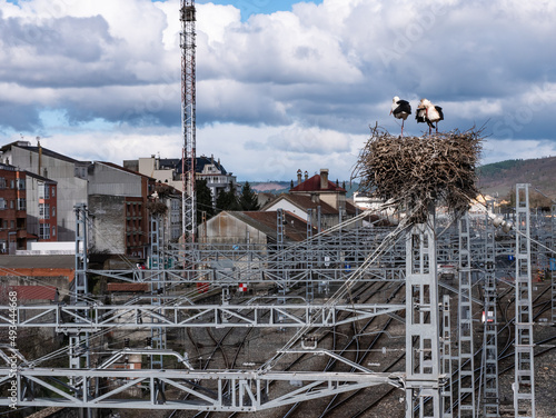 Pair of white storks standing on a huge nest made with large branches placed on top of a post of the train catenary at the entrance of the Monfor train station photo