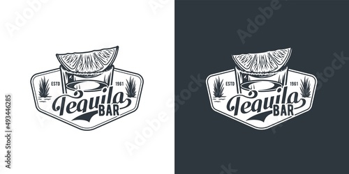 Tequila vector shot with lime and salt. Hand drawn illustration converted to vector isolated on white background