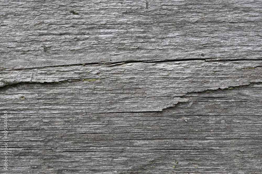 Naklejka premium Weathered wooden background, closeup