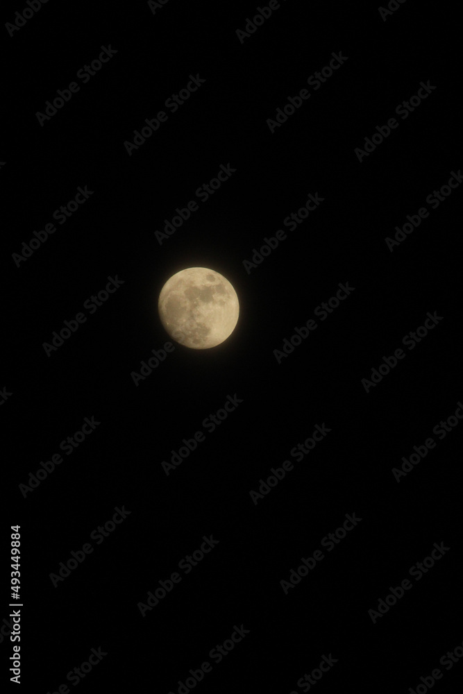 full moon in the night full moon in the night