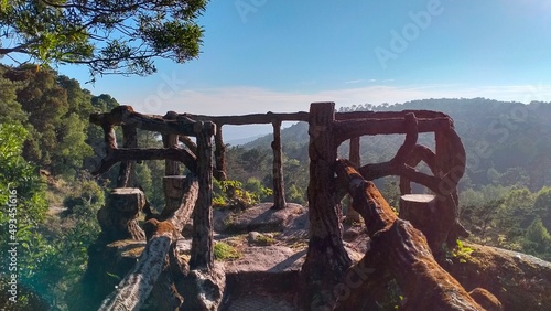 tree balcony in the forest