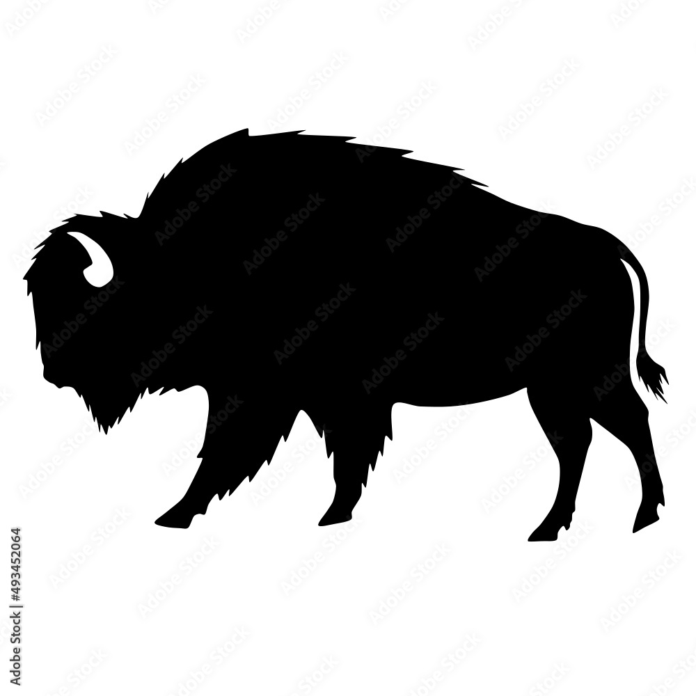 Bison Silhouette, buffalo silhouette Bison Silhouette, buffalo silhouette