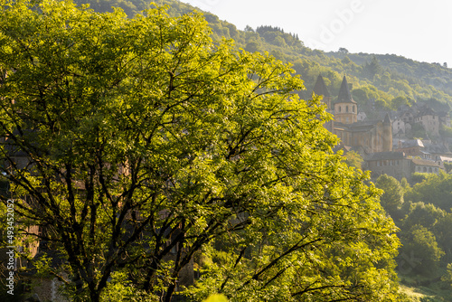 Fototapeta Naklejka Na Ścianę i Meble -  L'abbatiale Sainte-Foy de Conques, sur le chemin de Saint-Jacques-de-Compostelle, Aveyron, Occitanie, France
