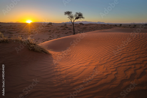 Wind swept patterns on red sand dune at sunet