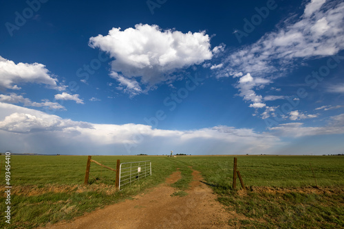 Open farm gate and dirt track that lead to a windmill