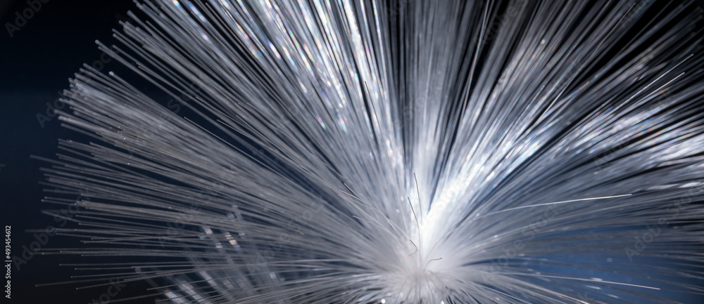 Naklejka premium Optical fiber