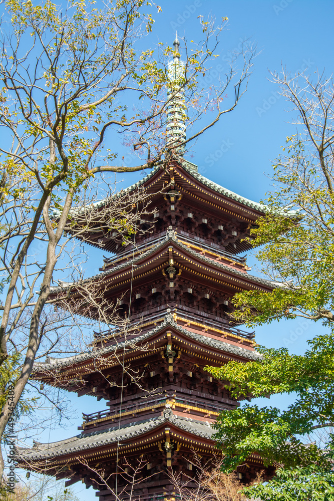 Toeizan Kan'ei-ji Endon-in (aka Kan'eiji or Kaneiji) Tendai Buddhist temple, founded in 1625 in Ueno area of Tokyo, Japan Toeizan Kan'ei-ji Endon-in (aka Kan'eiji or Kaneiji) Tendai Buddhist temple, founded in 1625 in Ueno area of Tokyo, Japan