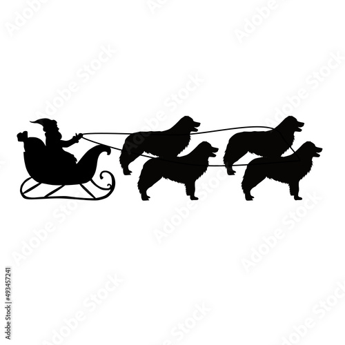 border collie, santa claus sleigh