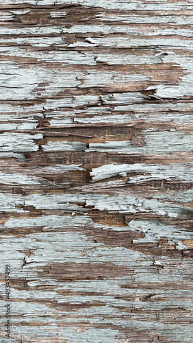 Close-up background with cracked blue paint texture on gray wood