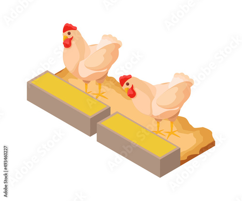 Chicken Farm Feeding Composition