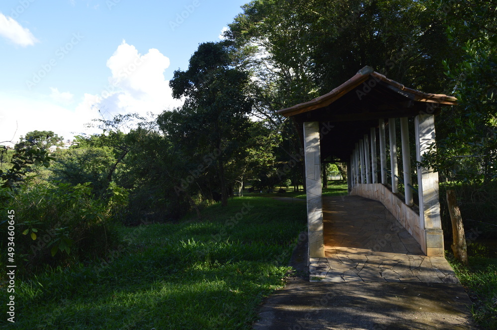 Caminho no meio da natureza