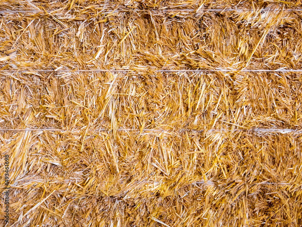 Golden straw stack tightened with straps. Background texture Golden straw stack tightened with straps. Background texture