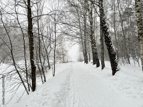 Blizzard in Sokolniki park. Snowy forest in Moscow. A lot of snow in a park. Russian winter. Cold. Snowy weather. Storm. Snowdrift © grooveisintheheart