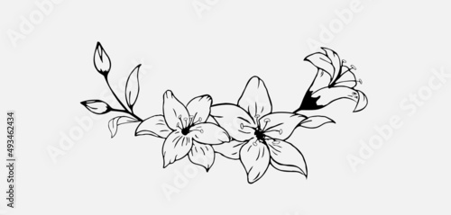 Murais de parede Hand drawn black lily flower semicircle wreath composition in cute doodle style