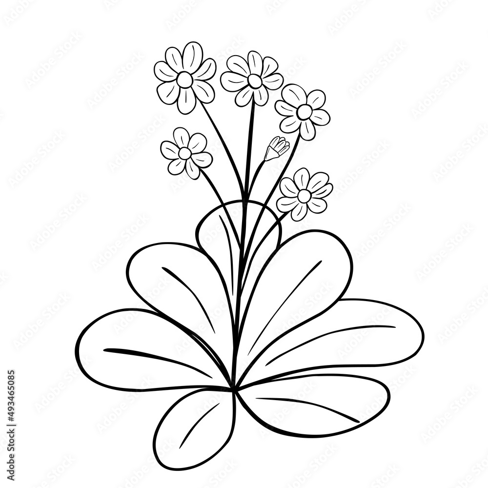 Obraz premium Hand drawn flower isolated on white background. Vector floral summer element. Decorative doodle sketch illustration.