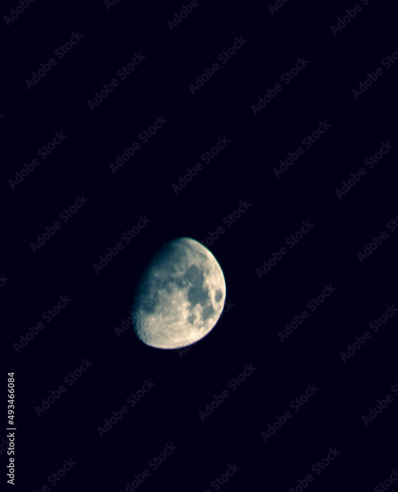 moon moon