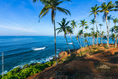 Coconut tree hill in the western province of Mirissa  Sri Lanka.