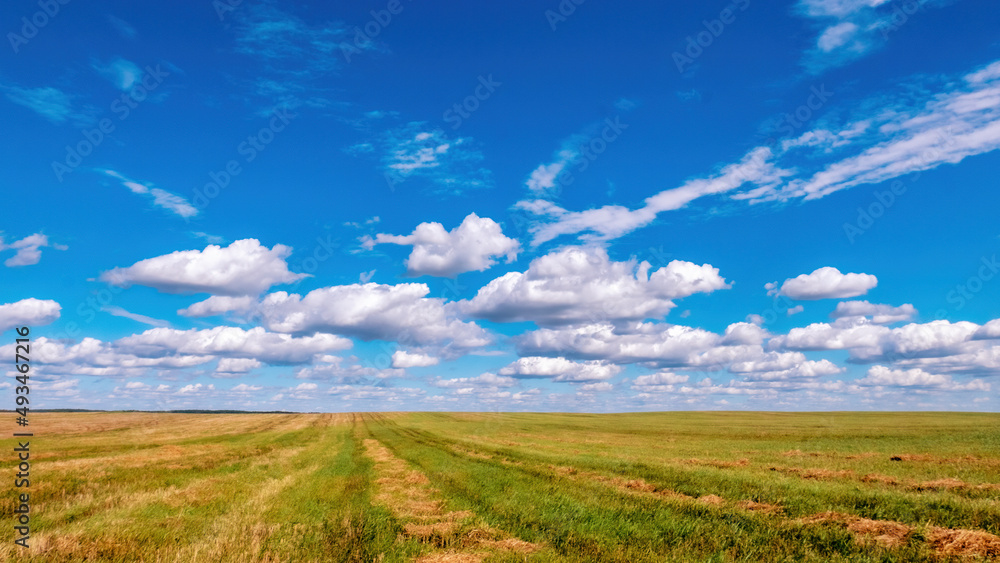 Colorful cumulus clouds in a bright blue sky over a freshly mown field stretching beyond the horizon. Bright background