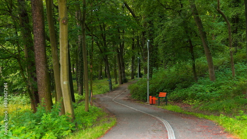 Ścieżka rowerowa i spacerowa w miejskim parku
