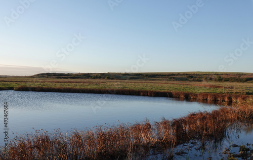 A beautiful scenic view of Bowers Marsh wetland nature reserve in Essex, UK under a clear blue sky. 