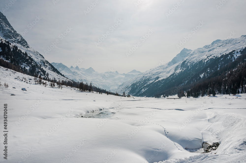 Val Roseg, Piz Roseg, Ova da Roseg, Rosegbach, Piz Sella, Piz Glüschaint, Sellagletscher, Winterwanderweg, Langlaufloipe, Berninagruppe, Oberengadin, Alpen, Winter, Wintersport, Graubünden, Schweiz 