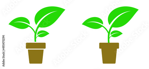 Garden plant in pot. Vector icon or pictogram. flower pot pictogram. Spring time flowers. Houseplant silhouette plants in pots.